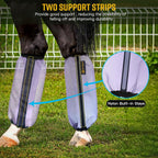 MIYABALA fine mesh horse leggings set of four in purple color