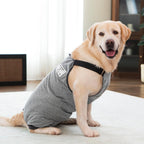 Breathable grey dog onesie preventing licking and biting of stitches.