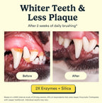 Jasper natural pet dental cleaning kit packaging detailing the premium USA imported ingredients.