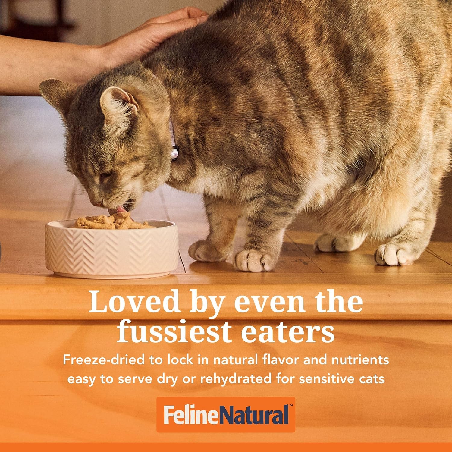 Premium grain free dry cat food showing the New Zealand green lipped mussel ingredient benefit icon
