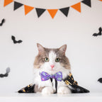 Cat wearing Pohshido holiday bandana and collar set