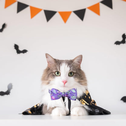 Cat wearing Pohshido holiday bandana and collar set