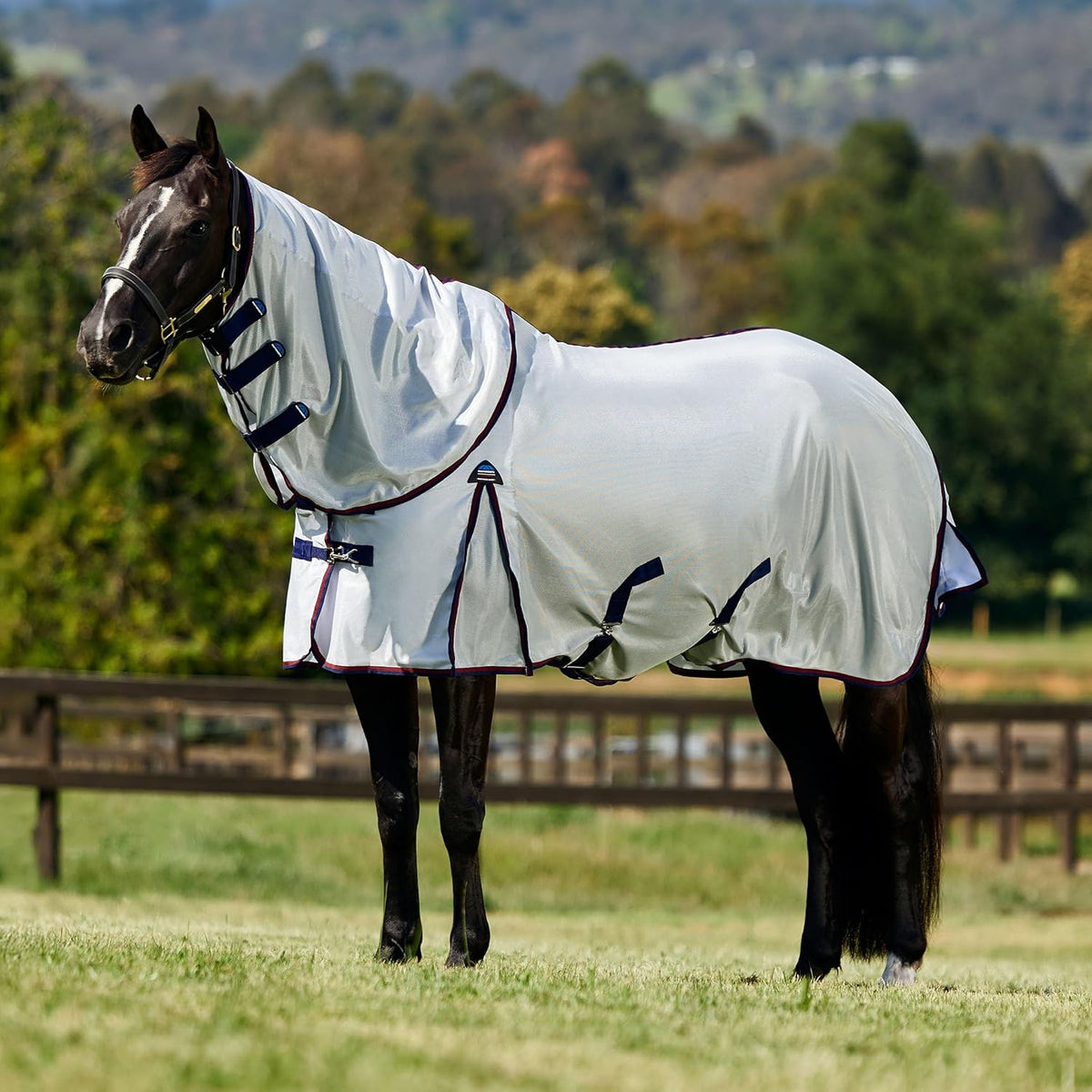 WeatherBeeta horse fly sheet open-weave mesh material texture detail close up
