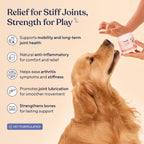 Pawfy dog glucosamine chondroitin soft chews supplement facts label