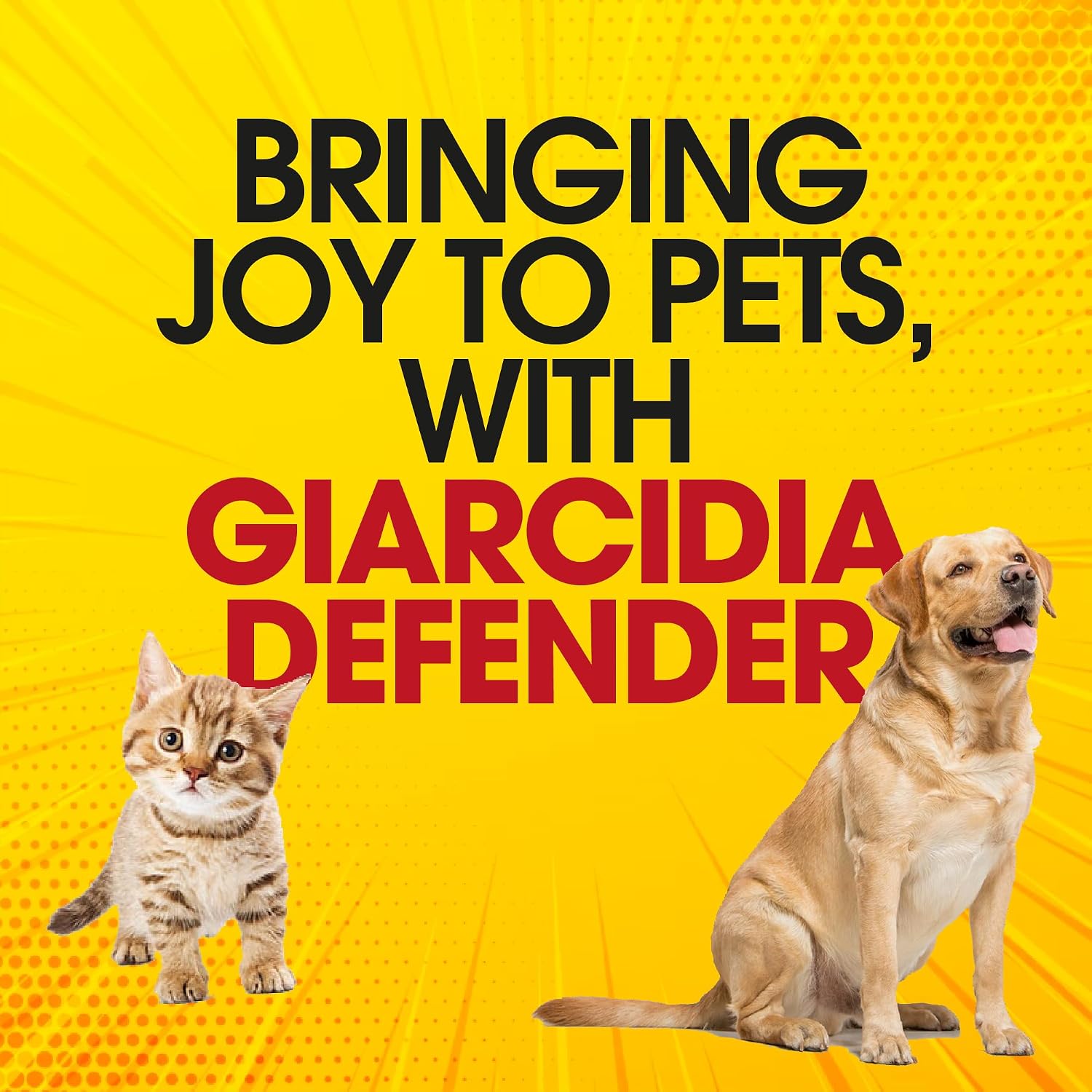 Safe internal flea protection solution for domestic cats and kittens