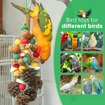 Healthy bird beak maintenance toy featuring diverse natural textures for chewing