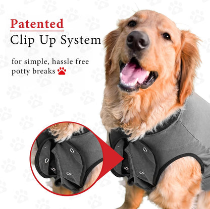 BellyGuard cotton pet medical onesie extra large size fabric close up