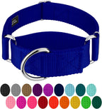 Premium USA imported escape proof dog collar showing stainless steel hardware loops