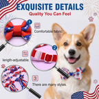 Assorted American flag pattern puppy grooming accessories spread out on a clean background.