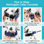 Fidohug high density soft nylon martingale collar size adjustment view