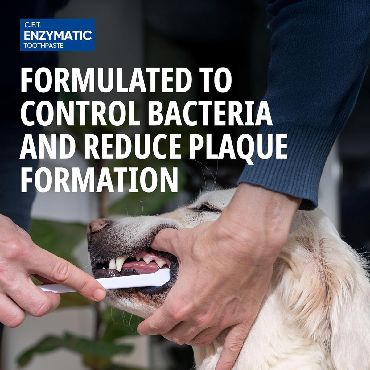 Virbac pet dental toothpaste packaging showing tartar control