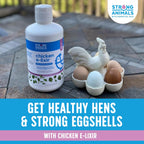 Strong Animals Chicken Elixir 32 Ounce authentic USA imported packaging details