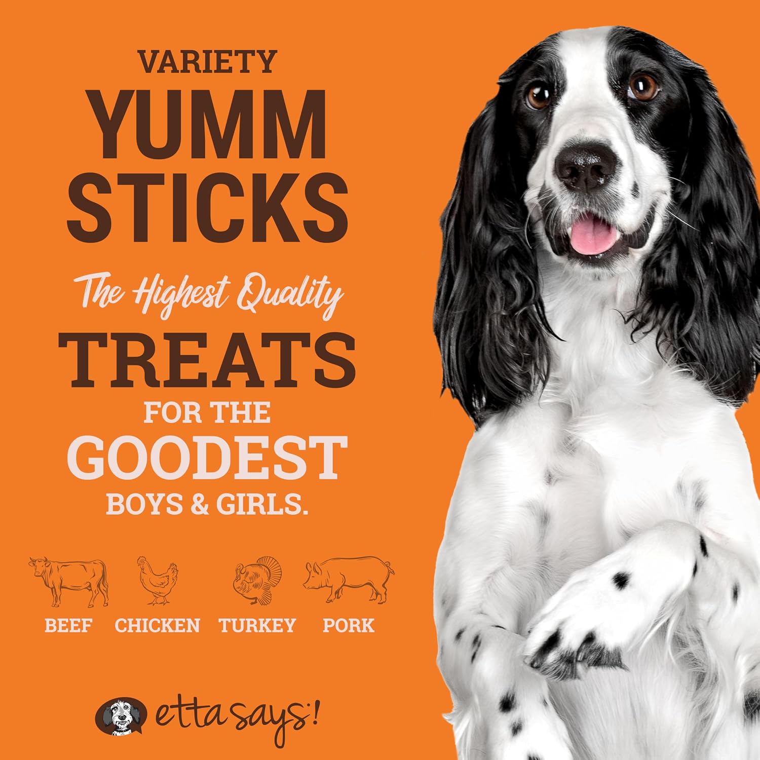 Etta Says! real meat dog jerky sticks packaging