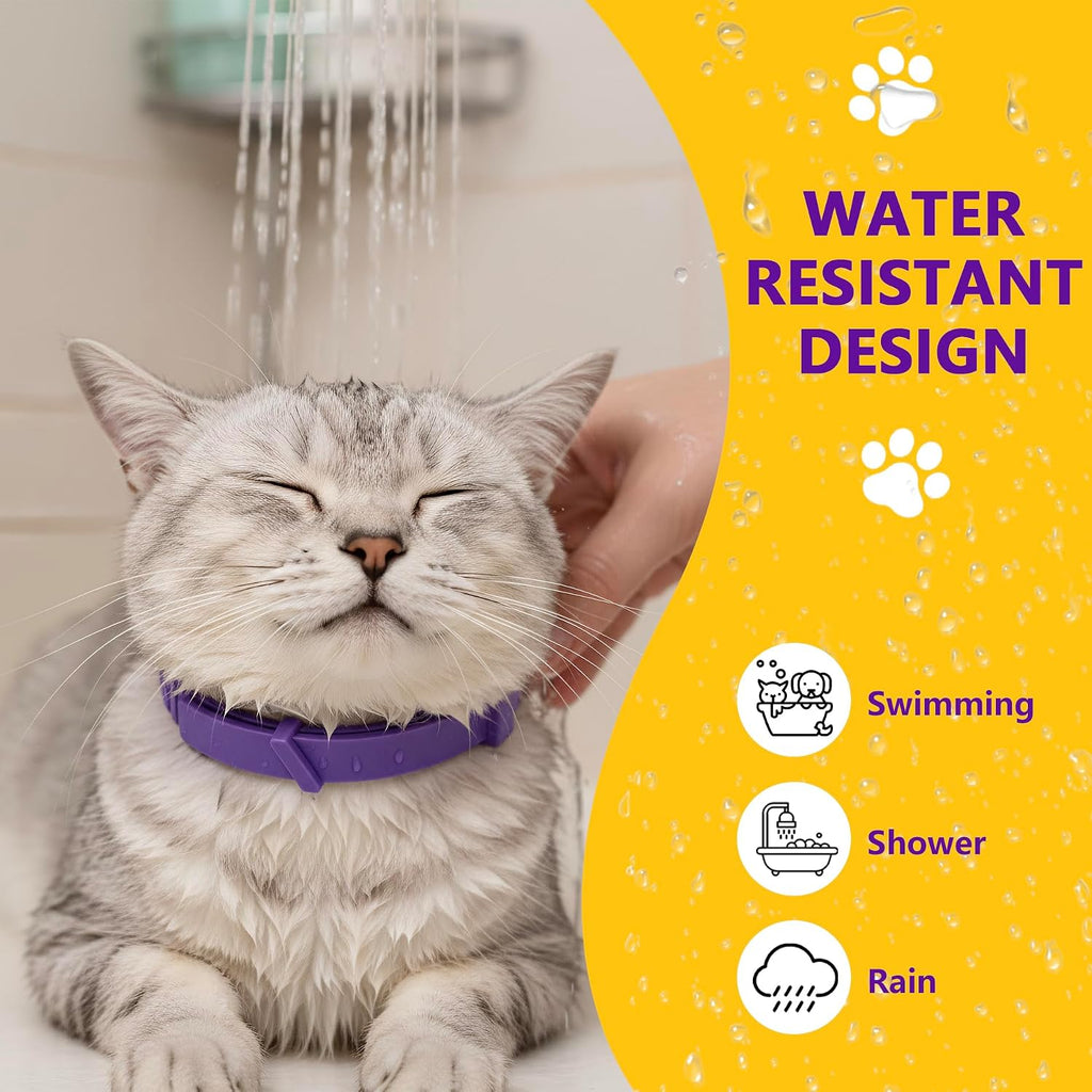 Four pack of breakaway calming collars for kittens and cats
