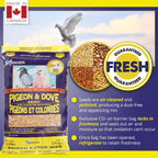 Close up of Hagen bird food seed blend texture and ingredients