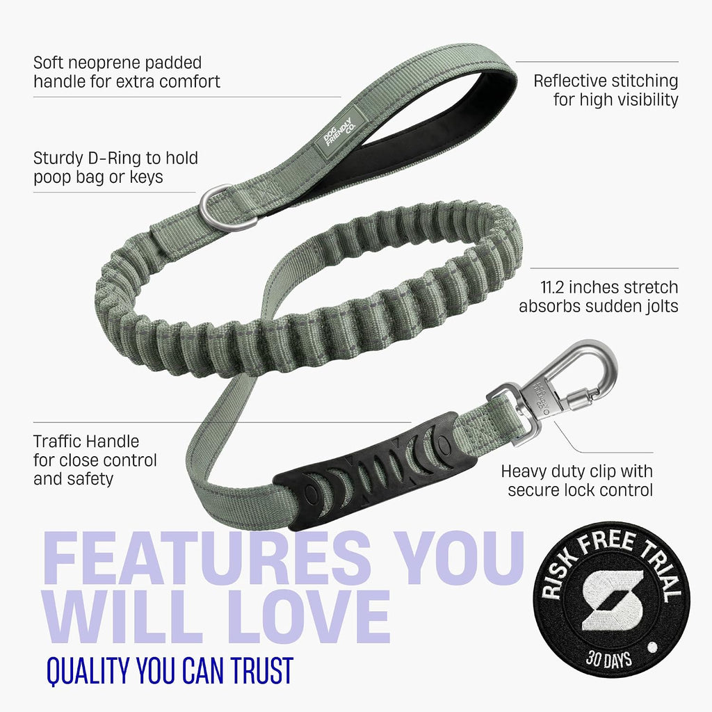 Dog Friendly Co. strain-free leash showing the built-in D-ring holding pet accessories like keys and waste bags.