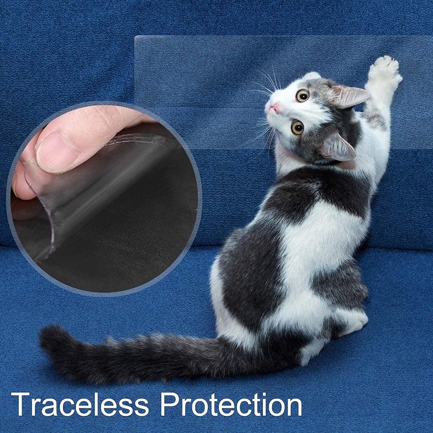 Example of furniture protected from cat scratching