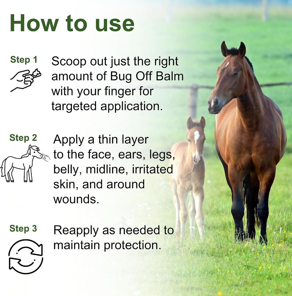 Pure Sole horse ointment protection shield being applied to sensitive ear and face zones