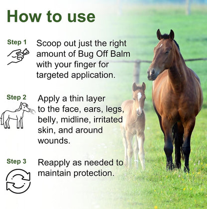 Pure Sole horse ointment protection shield being applied to sensitive ear and face zones