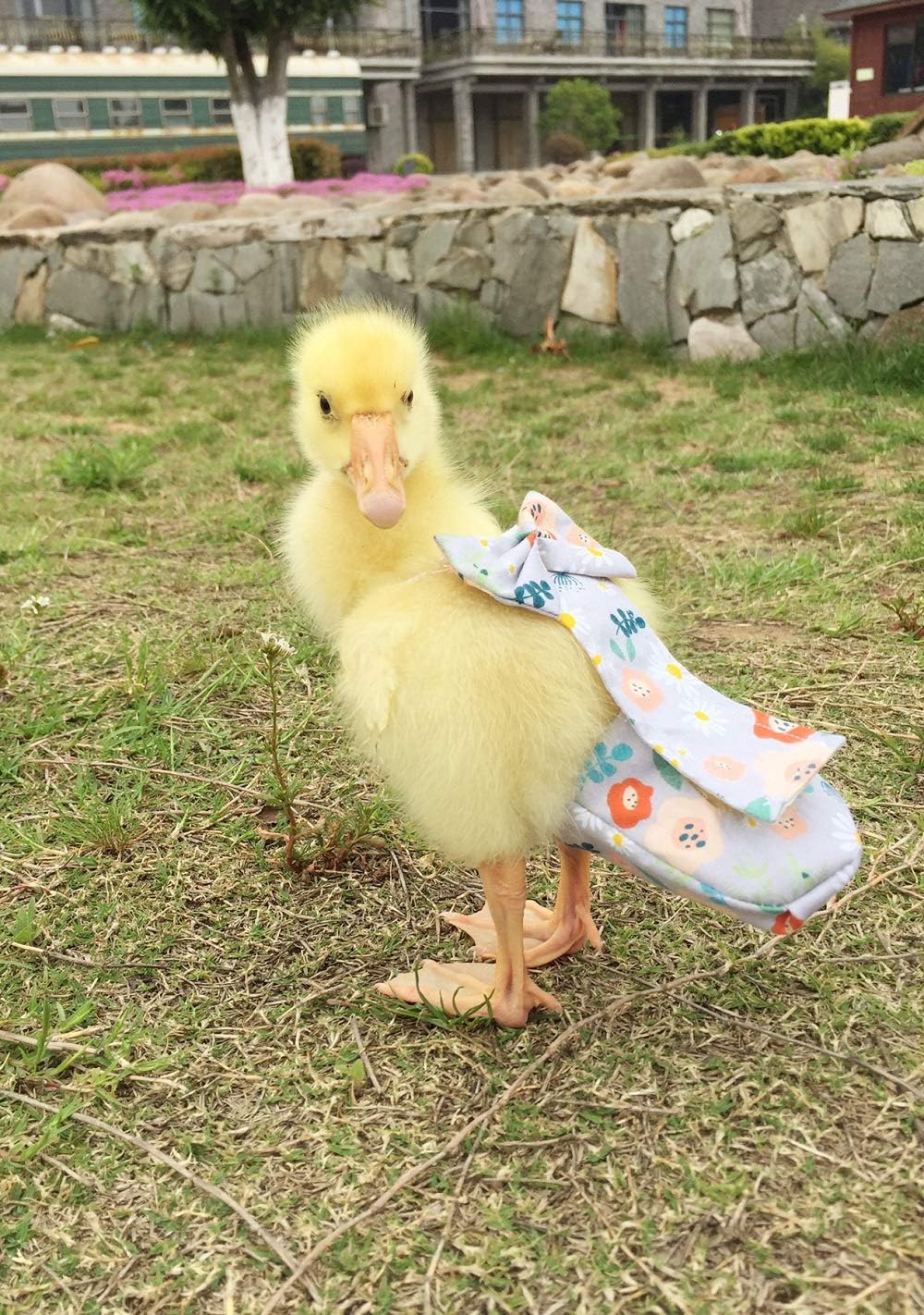 Waterproof lining detail inside HEZHUO chicken diaper