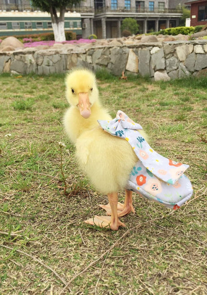 HEZHUO reusable duck diaper side profile with elastic band closure