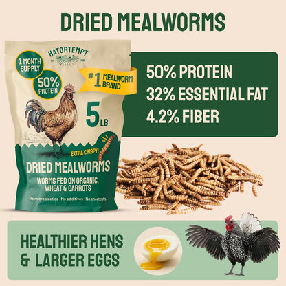 Hatortempt premium organic dried mealworms packaging