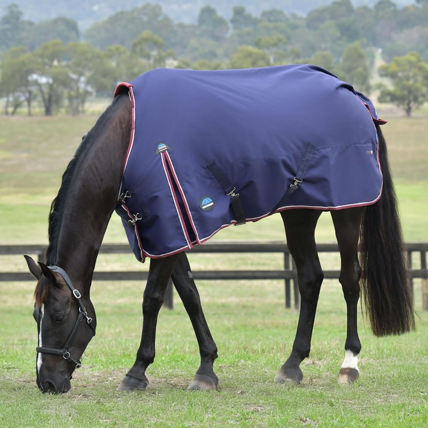 WeatherBeeta ComFiTec zero gram turnout rug twin chest closures close up view