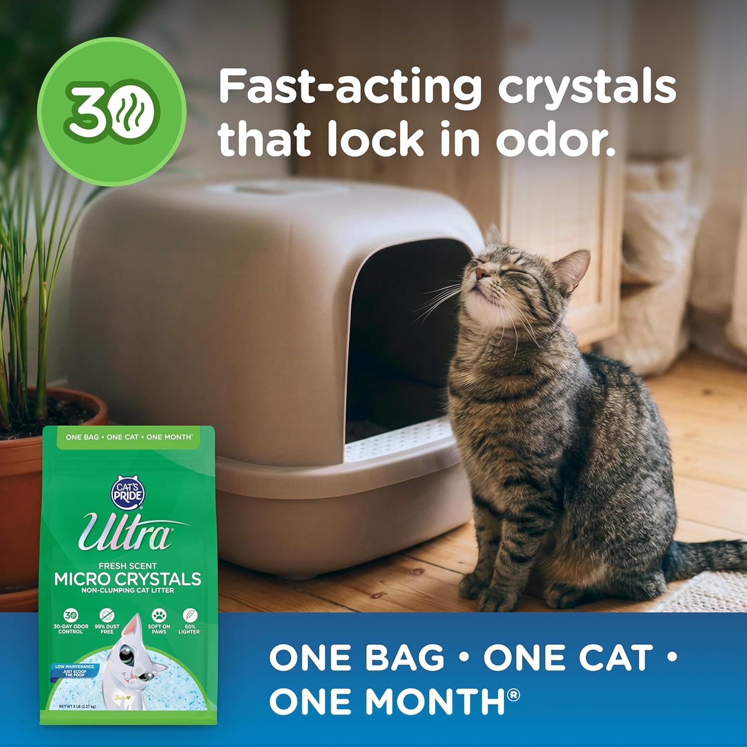 Ultra Fresh cat litter crystals in a scoop showing size