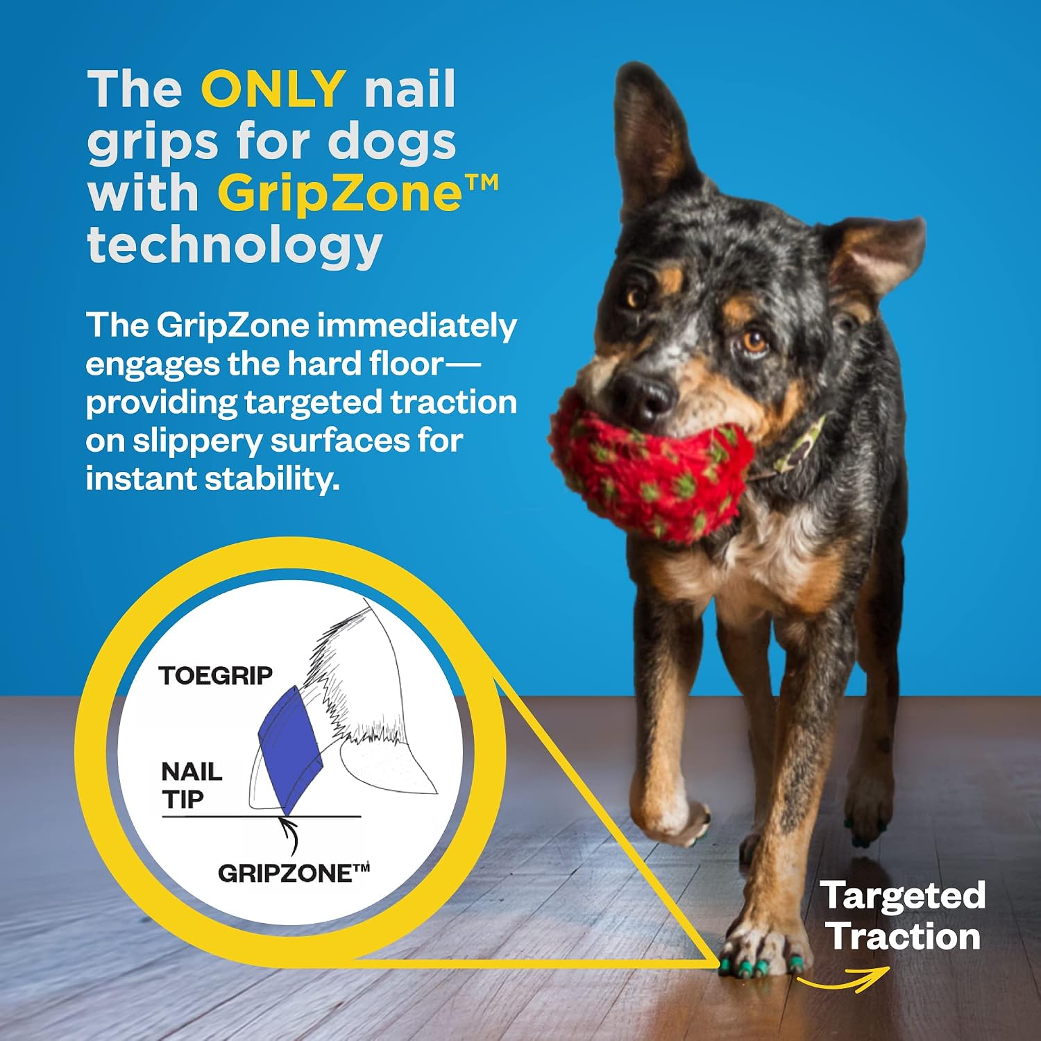 Instructional graphic for applying Dr. Buzby's ToeGrips