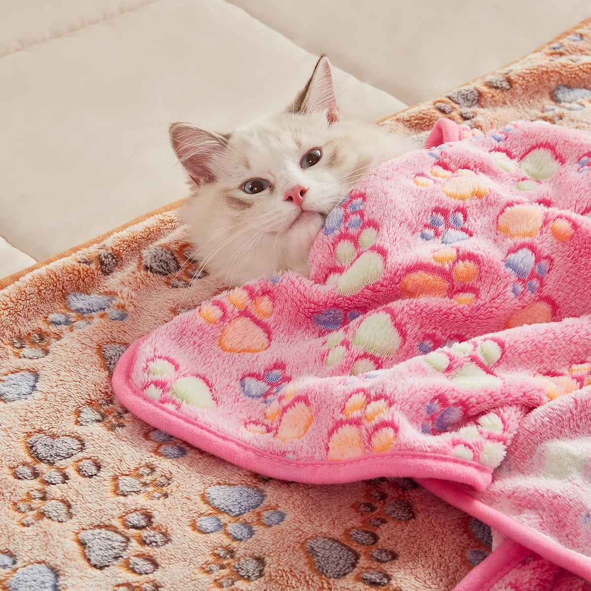 Luciphia premium imported pet travel blankets pack of three