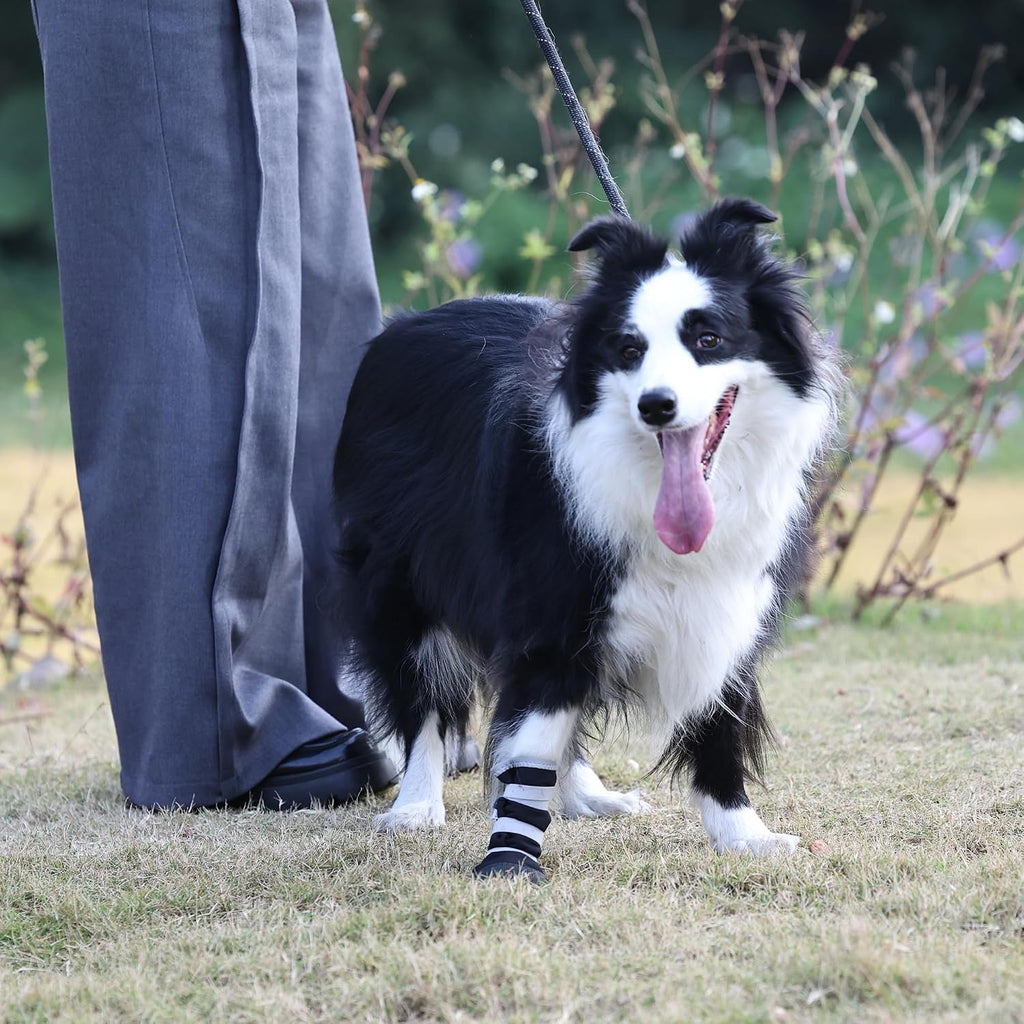 Comfortable soft interior of Snugrance pet recovery boot