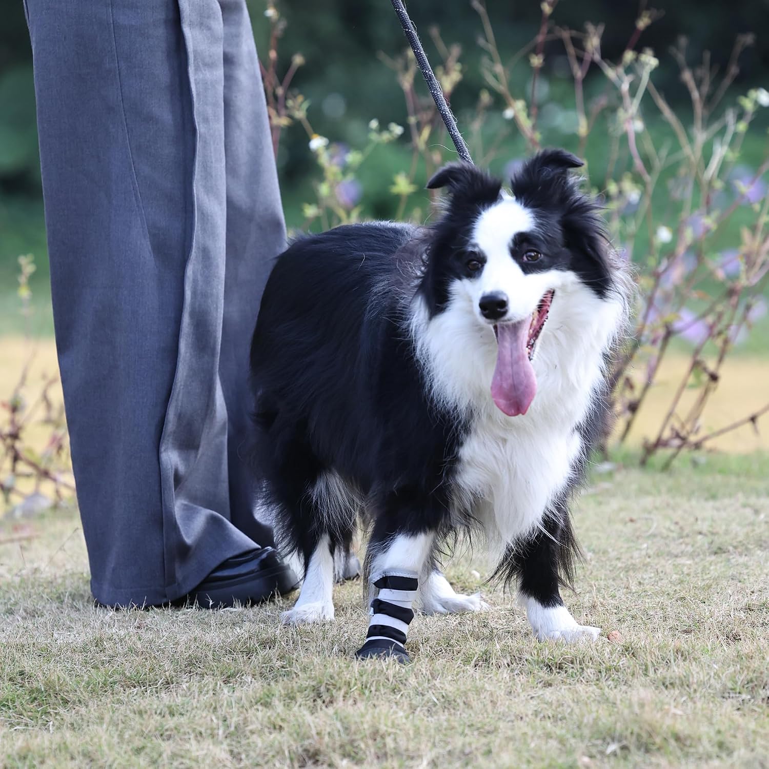 Comfortable soft interior of Snugrance pet recovery boot