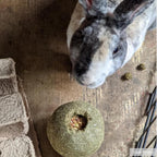 Kaytee roll and toss pet treat lifestyle product shot