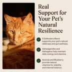 Real Mushrooms grain-free soft treats for dog allergy itching relief.