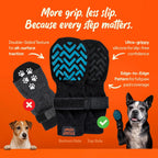 Senior dog wearing Steady Paws non-slip socks for stability