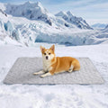 Cozy Bliss Leakproof Cooling Blanket front view showing the heather silver grey texture.