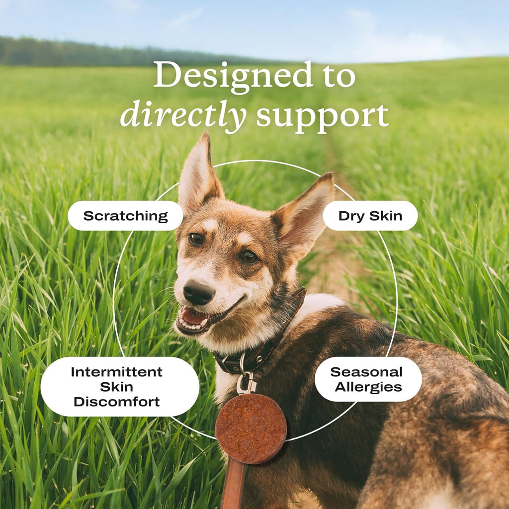 PetLab Co. allergy support chews showing ingredients like turmeric and honey