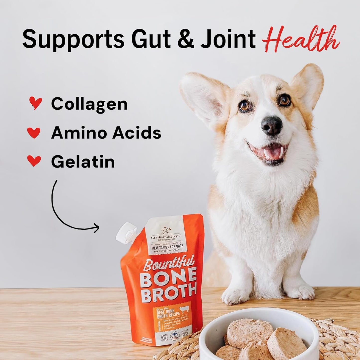 Natural nutrition supplement for canine digestive wellness support