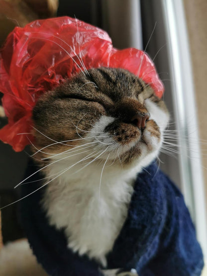 Waterproof LDPE shower caps for small pet grooming