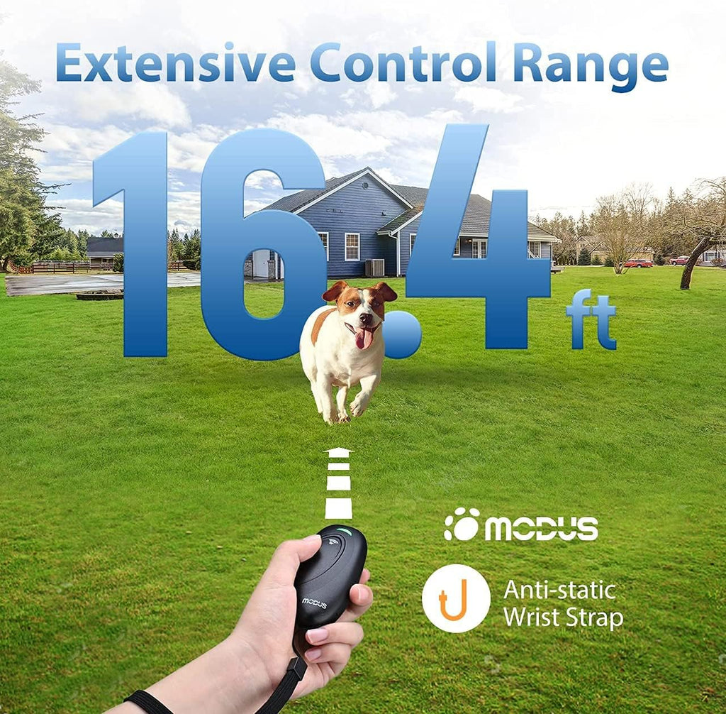 Compact size comparison of Modus barking silencer
