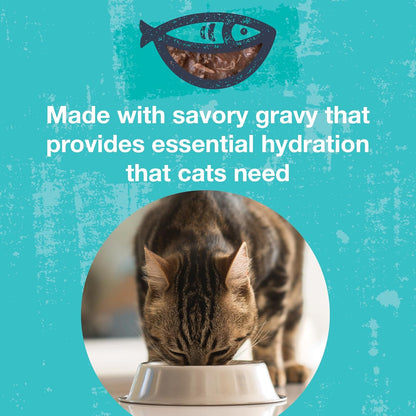 Twenty four pack assortment of premium USA imported wet cat food pouches by Kohapet.
