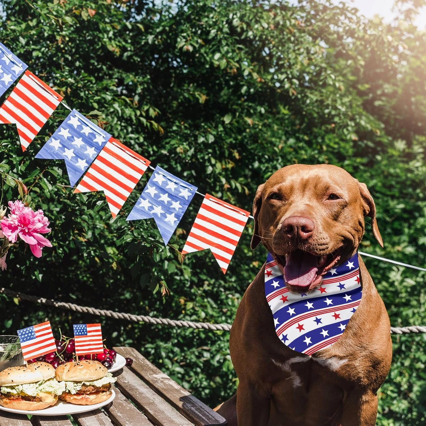 USA imported premium DIY pet bandanas multipack laid out for creative sublimation crafting.
