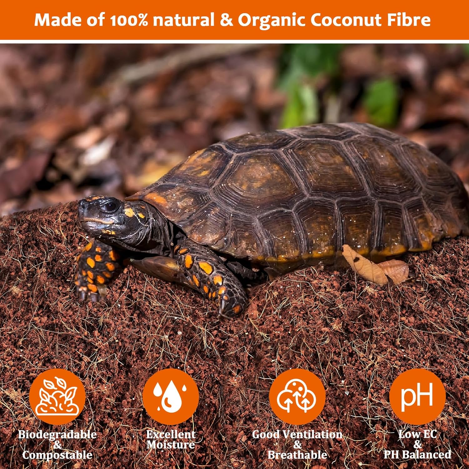 Compressed organic coco coir brick expanding in water for reptile habitat