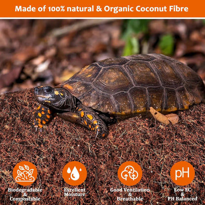 Compressed organic coco coir brick expanding in water for reptile habitat