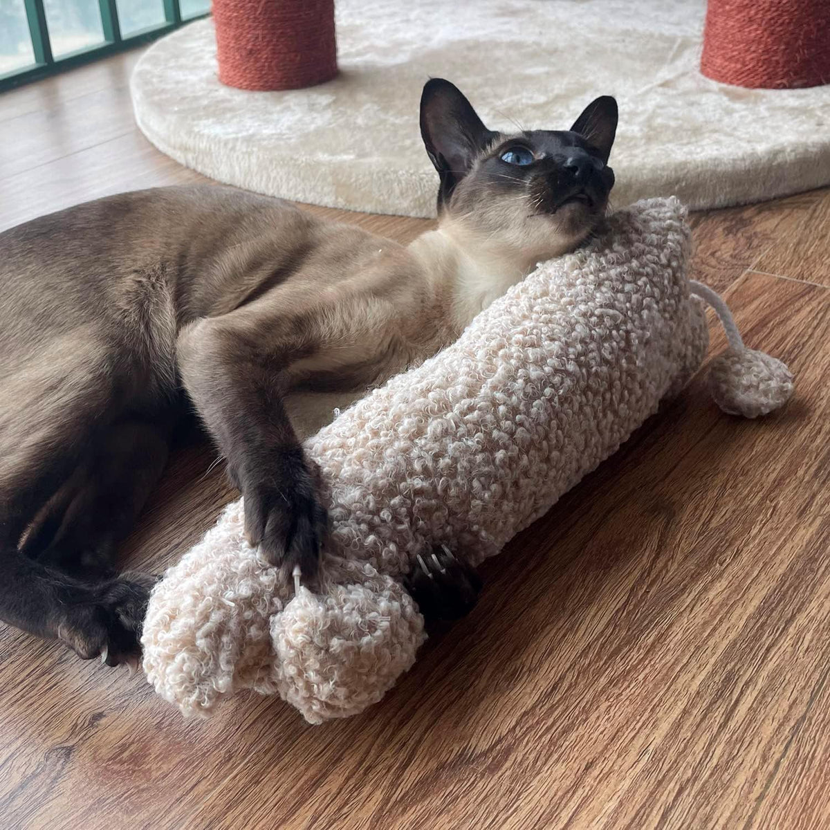 Kitten cuddling with beige Ttcat matatabi kicker toy