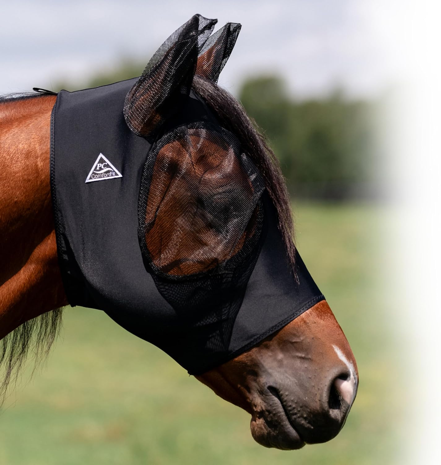 Pacific Blue horse fly mask showing the forelock opening
