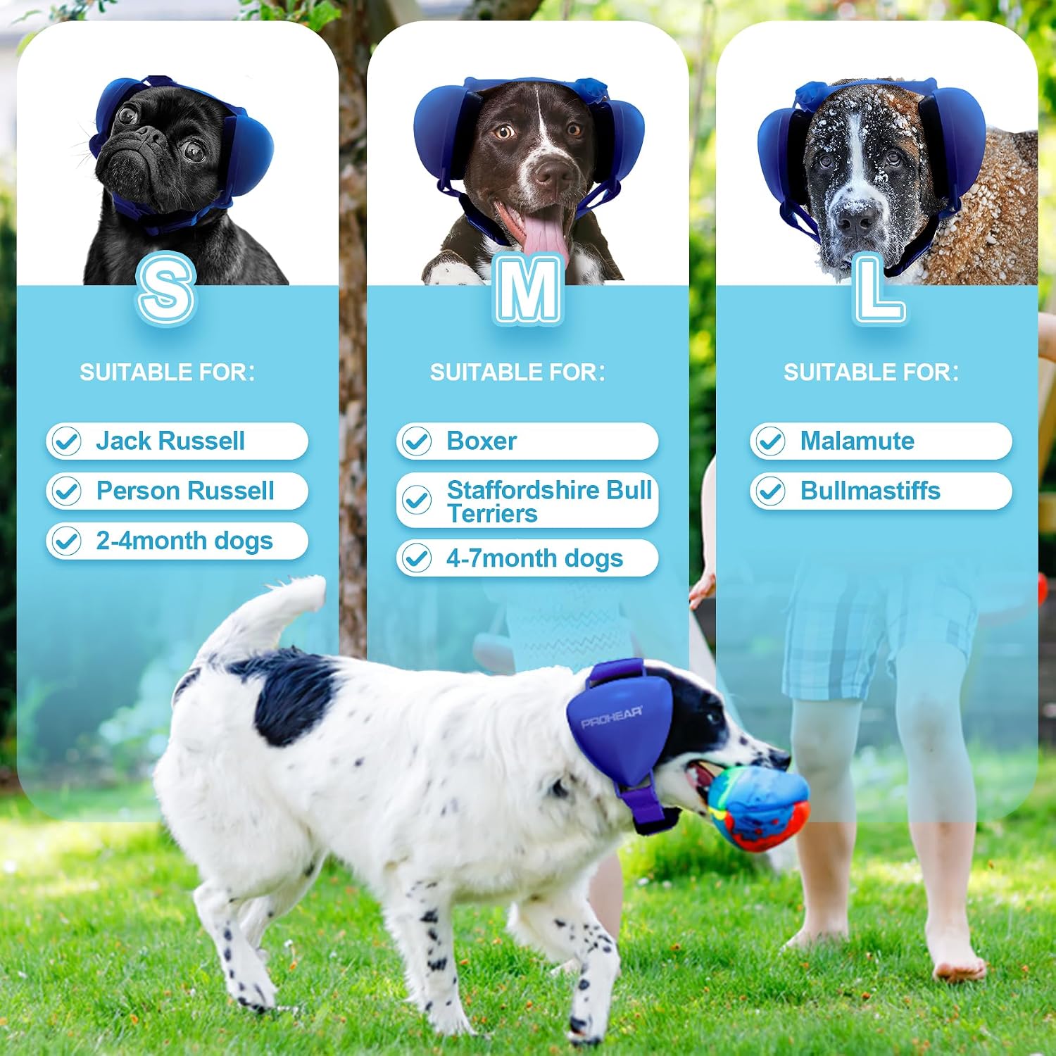 Side profile of Prohear blue dog earmuffs showing strap