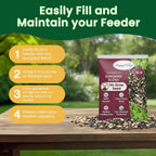Nutritious wild bird food ingredients showcase