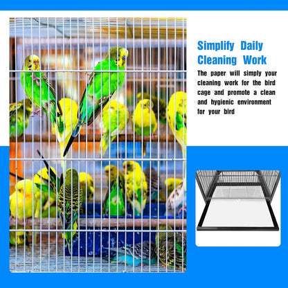 Sun Conure bird in a cage with clean liner tray