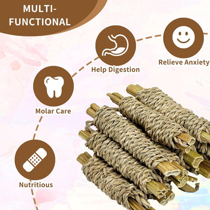 Natural pet snacks showing the organic materials for rabbit and hamster enrichment.